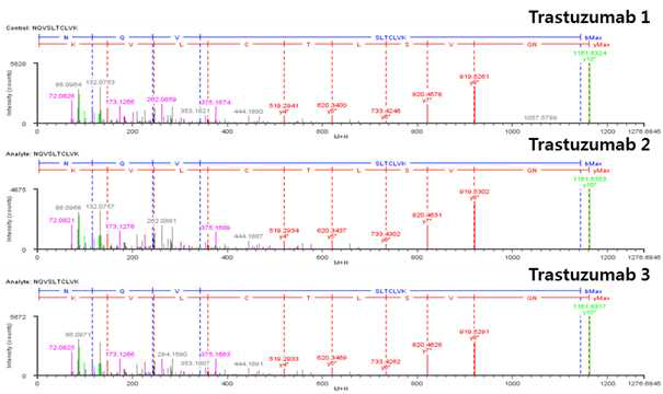 Trastuzumab 단백질 H:T36 (Cys370) peptide의 확인