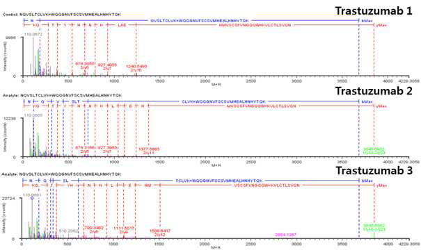 Trastuzumab 단백질 H:Cys370=H:Cys428 disulfide bond의 확인