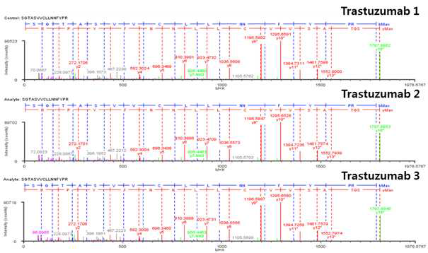 Trastuzumab 단백질 L:T11 (Cys134) peptide의 확인