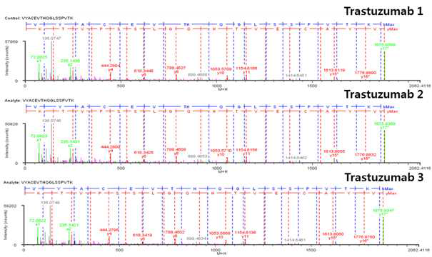 Trastuzumab 단백질 L:T18 (Cys194) peptide의 확인