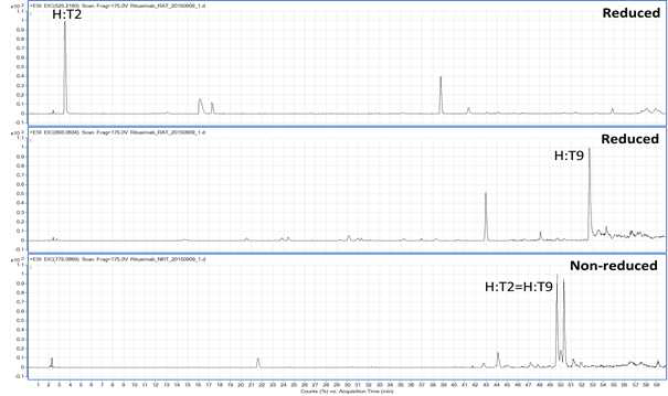 Rituximab 시료에서 확인되는 H:T2 및 H:T9 peptide (XIC)