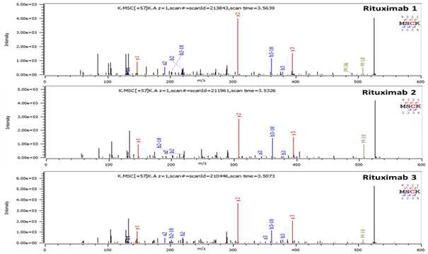 Rituximab 단백질 H:T2 (Cys22) peptide의 확인