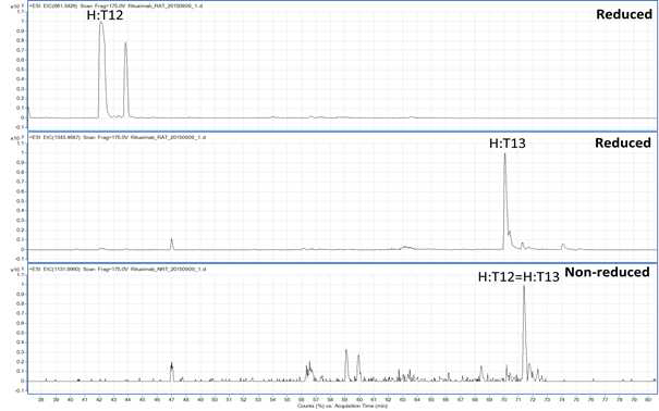 Rituximab 시료에서 확인되는 H:T12 및 H:T13 peptide (XIC)