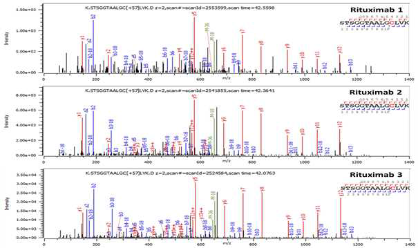 Rituximab 단백질 H:T12 (Cys148) peptide의 확인