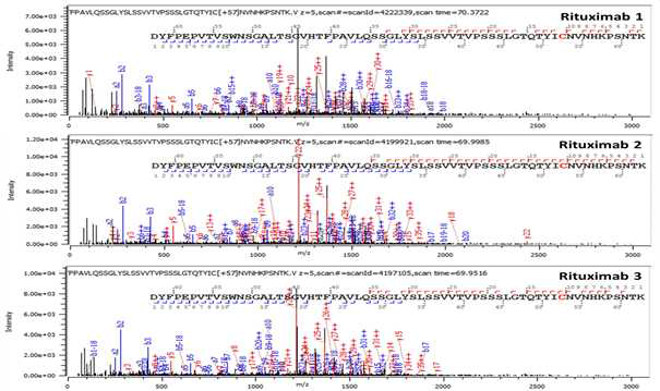 Rituximab 단백질 H:T13(Cys204) peptide의 확인