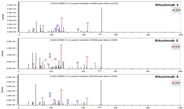 Rituximab 단백질 H:T17 (Cys224) peptide의 확인