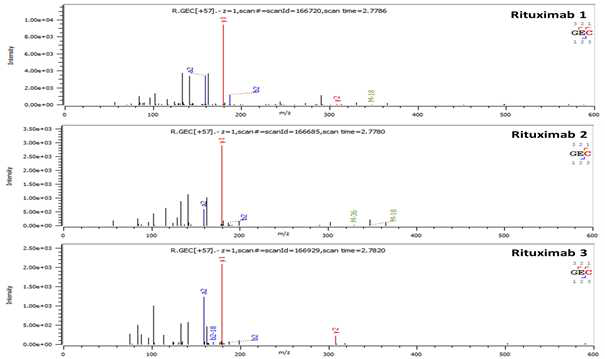 Rituximab 단백질 H:T83(Cys213) peptide의 확인