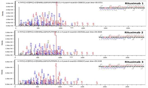 Rituximab 단백질 H:T18 (Cys230, Cys233) peptide의 확인