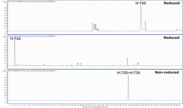 Rituximab 시료에서 확인되는 H:T20 및 H:T26 peptide (XIC)