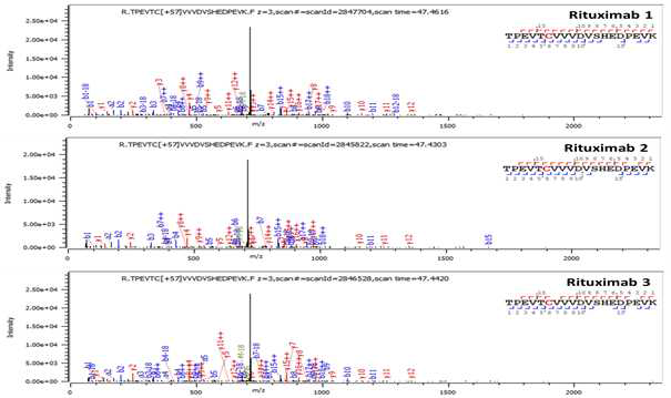 Rituximab 단백질 H:T20 (Cys265) peptide의 확인