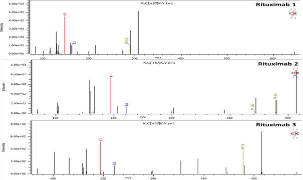 Rituximab 단백질 H:T26(Cys325) peptide의 확인