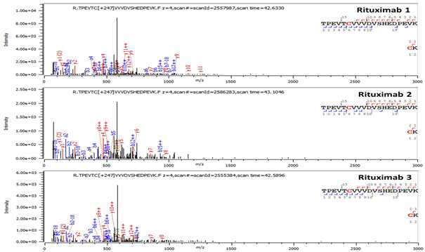 Rituximab 단백질 H:Cys265=H:Cys325 disulfide bond의 확인