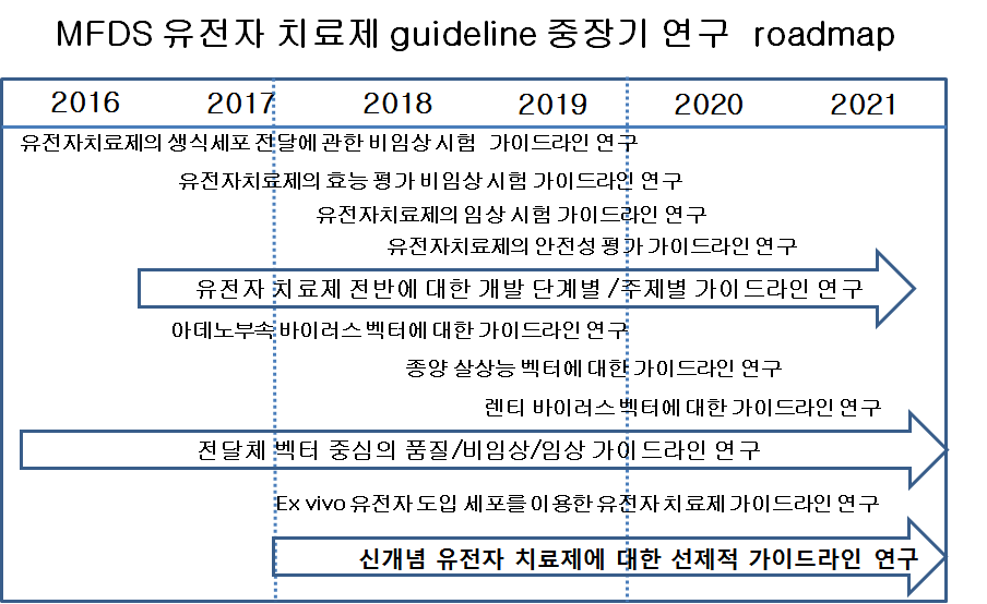 유전자 치료제 guideline 중장기 연구 roadmap
