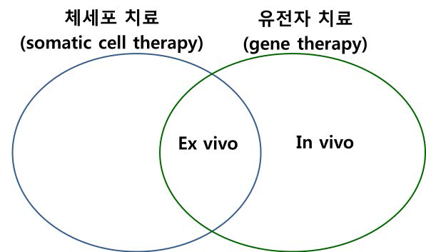 미국 FDA에서 체세포 치료와 유전자 치료의 정의에 따른 관계도