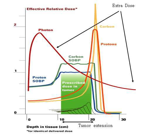 Characteristic of heavy ion beam and photon beam.