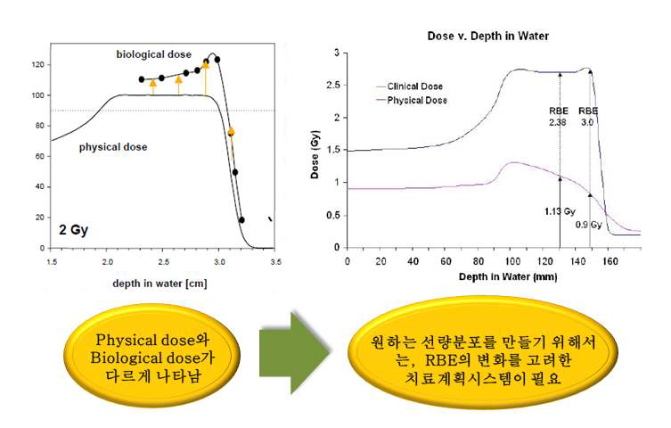 Biological effectiveness dose distribution of a therapeutic carbon beam