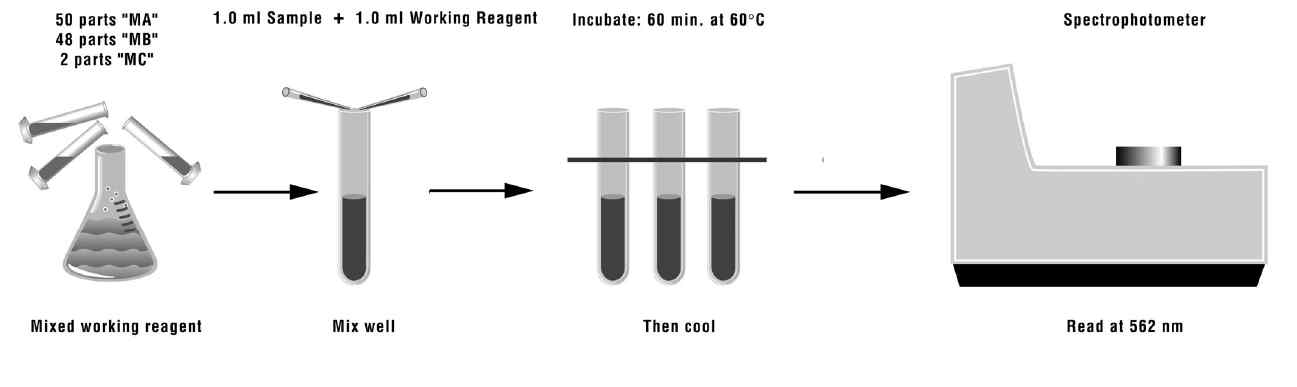 Microbicinchoninic 산 시험키트를 사용한 단백질 분석 절차