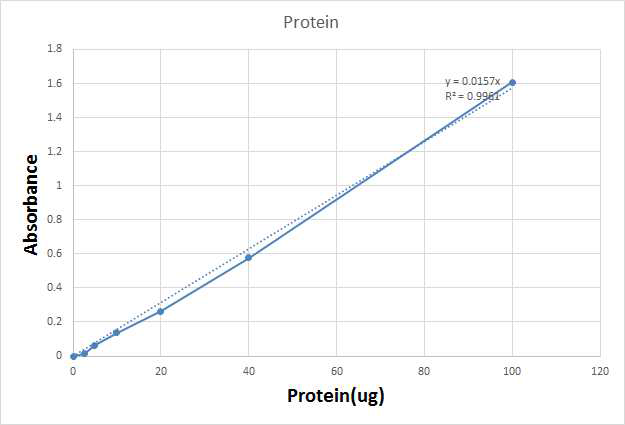 단백질 표준용액의 standard curve