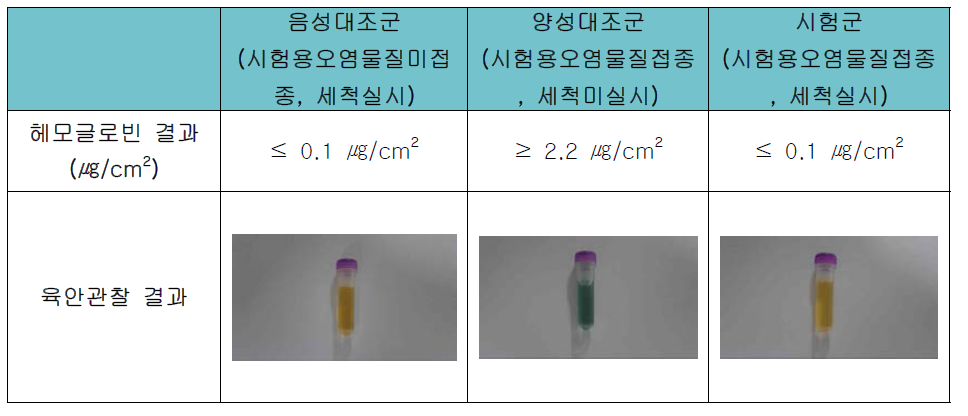 헤모글로빈 시험 결과 관찰 결과