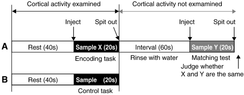 실험 설계. 부호화 과정 후 짝짓기 실험 단계로 구성된 실험 (A), 그리고 통제 과제에 대한 실험 (B)의 도식적 설명