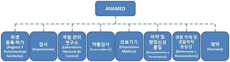 ANAMED 조직도