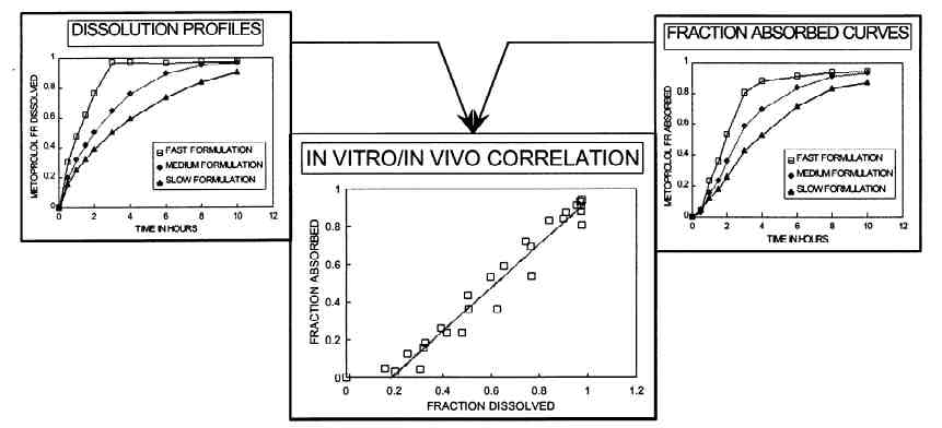 IVIVC 의 개념도