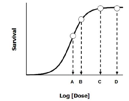 적절히 적립된 동물 모델에서 의약품의 네 가지 용량에 따른 용량-생존율의 상관관계