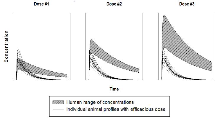 사람에서 유효한 약물 용량을 설정하기 위한 동물, 사람의 약동학적 결과 비교