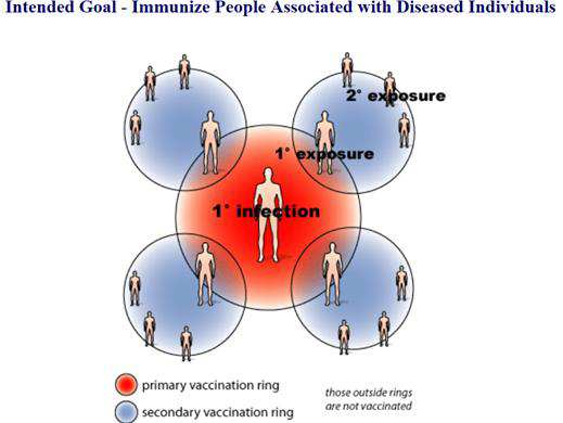 에볼라 바이러스 병 백신 rVSV-ZEBOV의 3상 임상연구에 사용된 Ring vaccination의 연구 디자인과 그 모식도