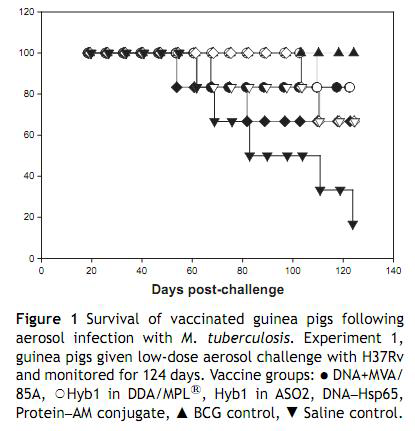 Evaluation of vaccines