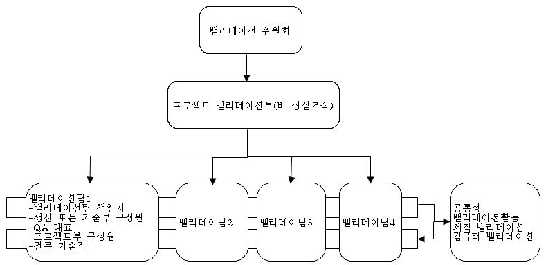 모 기업의 임시 밸리데이션 조직도