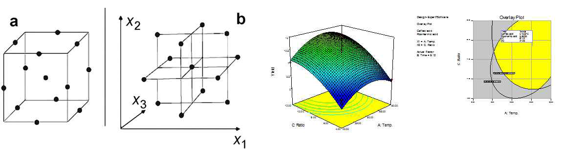 Box-Behnken design 및 surface plot과 acceptable operating space