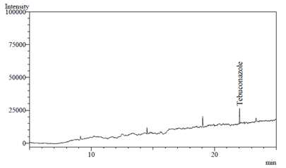 Tebuconazole 크로마토그람(0.1ng)