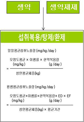 황련의 노출량 예측 모델