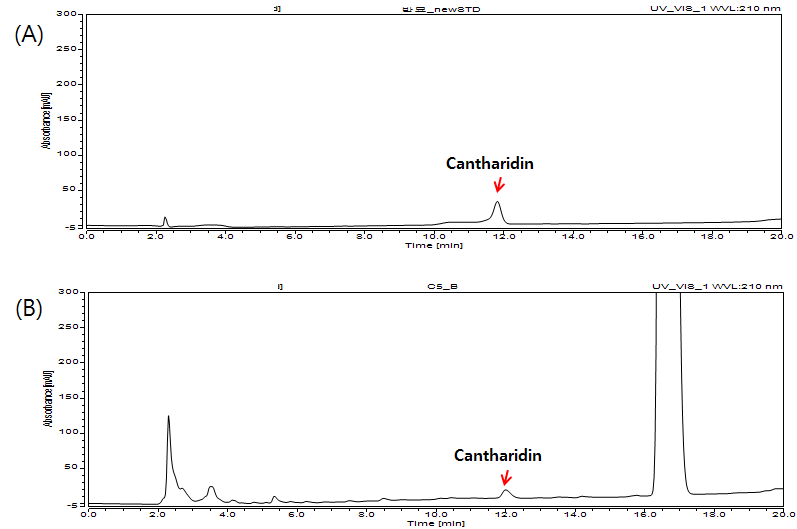 반표 내 지표물질인 cantharidin 표준품 크로마토그램(A)과 반묘 시료의 HPLC-UV 대표크로마토그램(B) (210 nm)