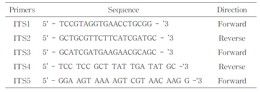 ITS 구간의 PCR 및 염기서열분석에 사용된 primer