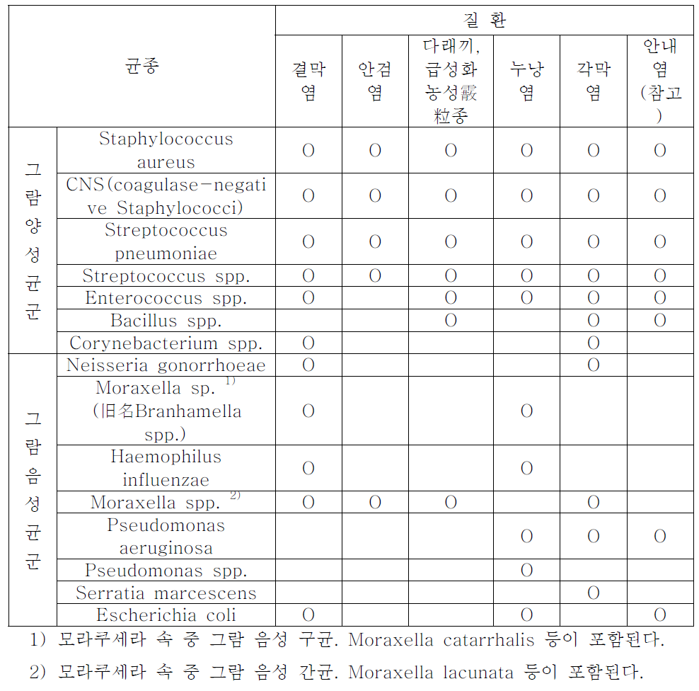 외 안부감염증의 주요 원인균