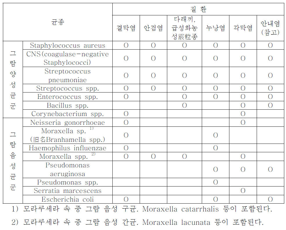 외 안부감염증의 주요 원인균