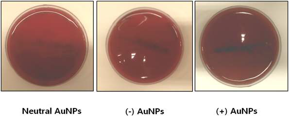 Blood agar plate에 나타나는 오염도 확인 및 시험물질 준비.