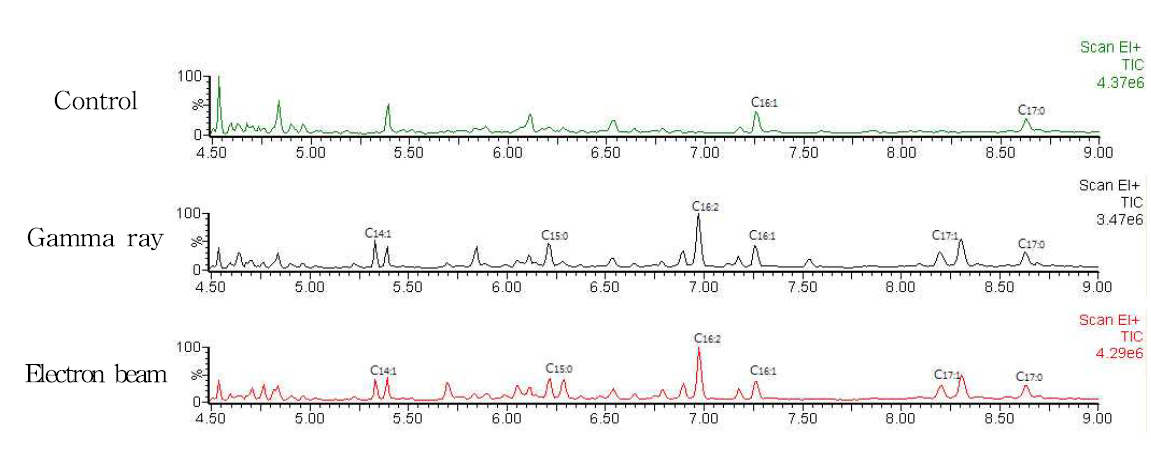 GC Chromatogram of pork irradiated with gamma ray and electron beam.