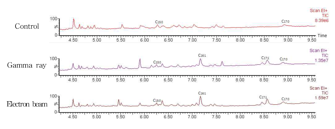 GC Chromatogram of duck meat irradiated with gamma ray and electron beam.