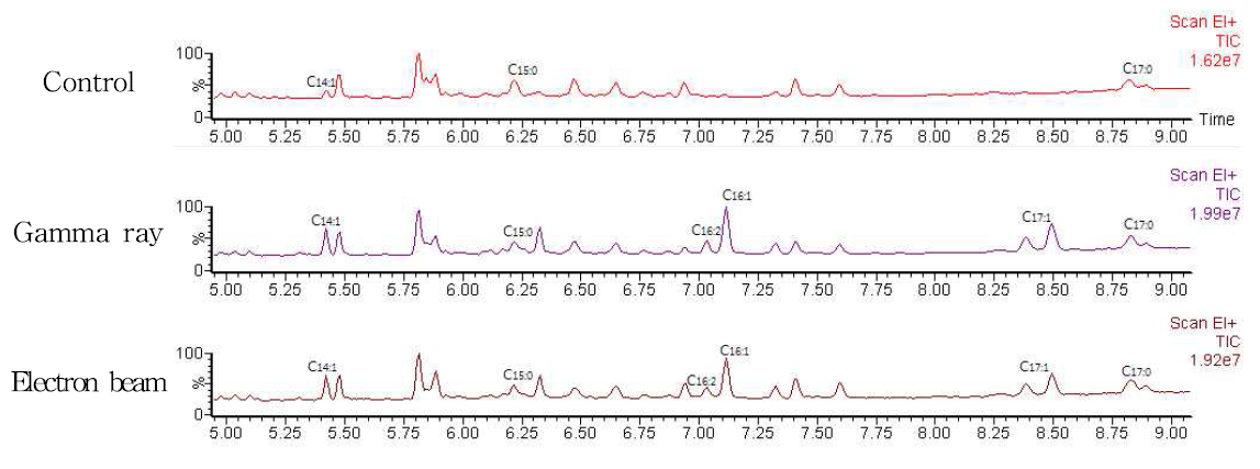 GC Chromatogram of sausage irradiated with gamma ray and electron beam.