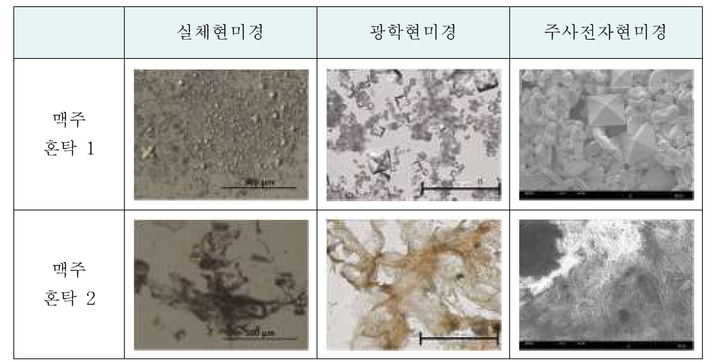 원료성분 변화로 침전, 응고된 물질 형태학적 특성 비교