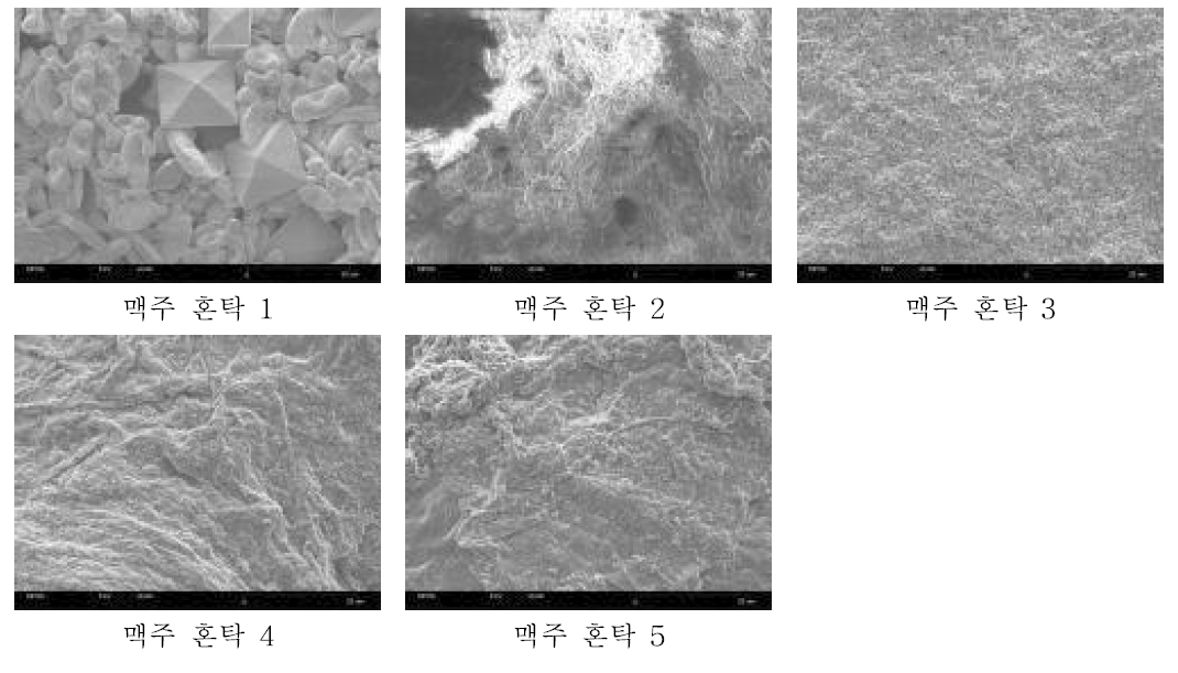 주사전자현미경을 이용한 원료성분 변화로 침전, 응고된 물질 표면 관찰 결과