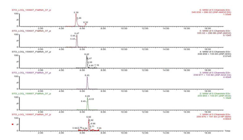 Chromatograms of nitrofurans matrix matched standards at 0.01 mg/kg in flatfish sample.