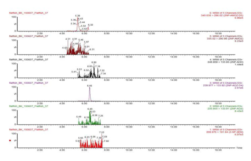 Chromatograms of nitrofurans blank in flatfish sample.