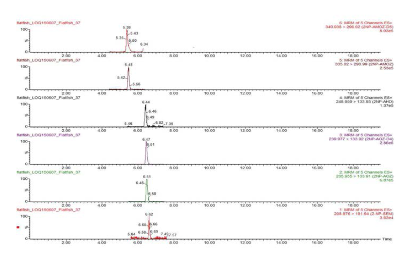 Chromatograms of nitrofurans LOQ recovery test in flatfish sample.