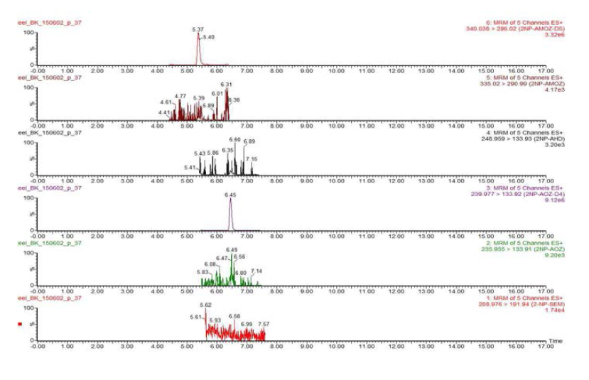 Chromatogram of nitrofurans blank in eel sample.