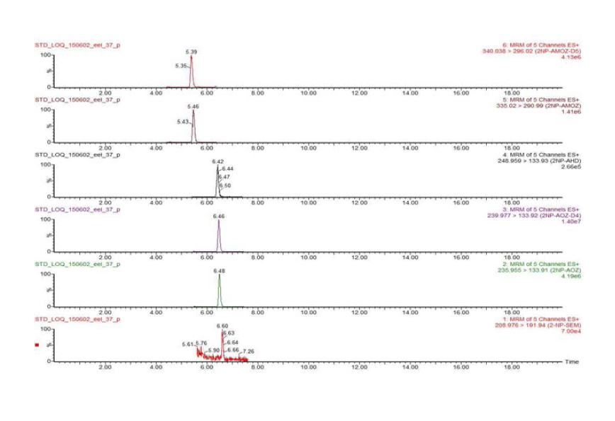 Chromatogram of nitrofurans LOQ recovery test in eel sample.