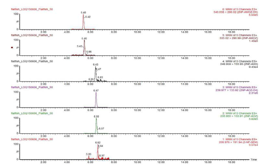 Chromatograms of nitrofurans matrix matched standards at 0.01 mg/kg in flatfish sample.